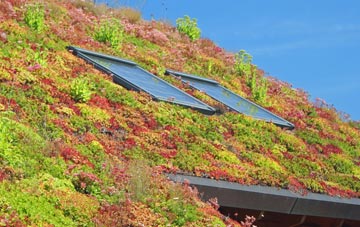 Gittisham living roof systems