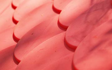 Gittisham plastic roof costs