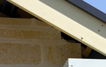 soffit repair Gittisham